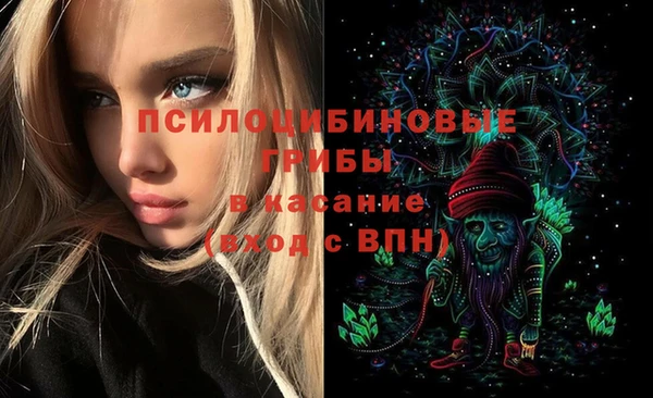 ГАЛЛЮЦИНОГЕННЫЕ ГРИБЫ Горняк