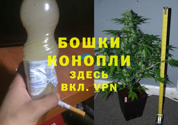 ГАЛЛЮЦИНОГЕННЫЕ ГРИБЫ Горняк