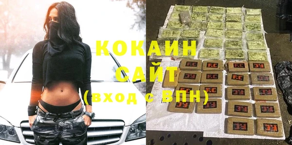 ГАЛЛЮЦИНОГЕННЫЕ ГРИБЫ Горняк