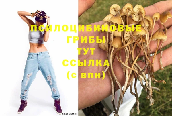 герыч Горнозаводск