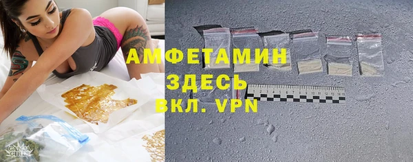 ГАЛЛЮЦИНОГЕННЫЕ ГРИБЫ Горняк