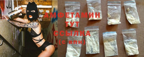 ГАЛЛЮЦИНОГЕННЫЕ ГРИБЫ Горняк