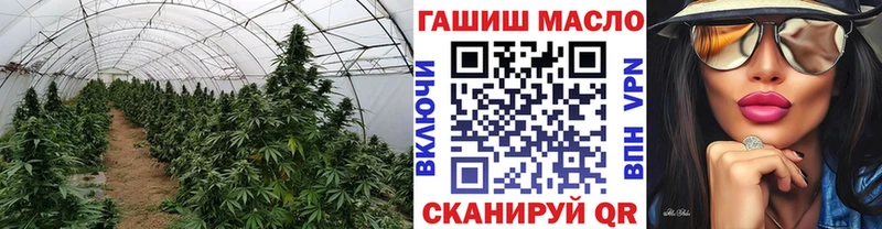 Купить  Пермь  Дистиллят ТГК THC oil 